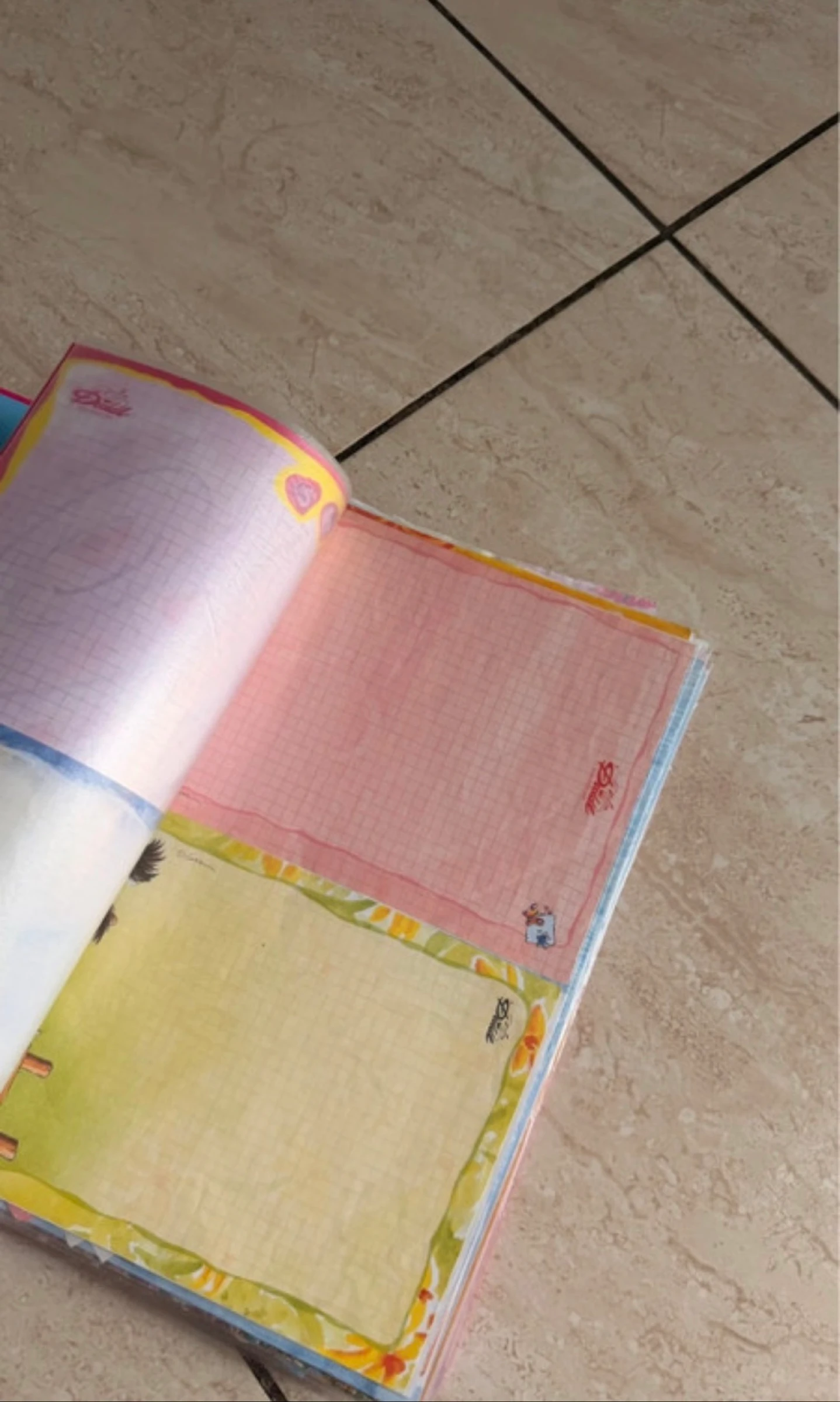 Map met blaadjes  – photo 10
